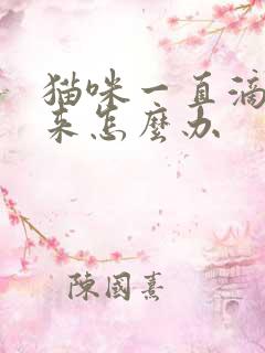 猫咪一直滴尿出来怎么办