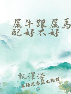 属牛跟属马的婚配好不好