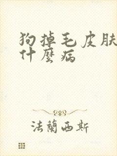 狗掉毛皮肤溃烂什么病