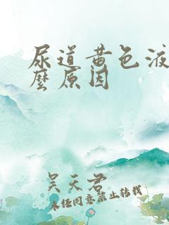 尿道黄色液体什么原因