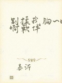 别揉我胸~嗯~啊软件