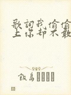 歌词我偷偷的爱上你却不敢告诉你