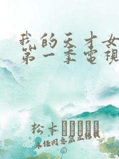 我的天才女友 第一季电视剧