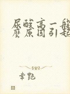 尿酸高一般是什么原因引起的