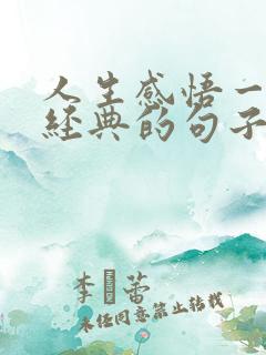 人生感悟一段很经典的句子