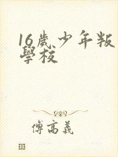 16岁少年叛逆学校