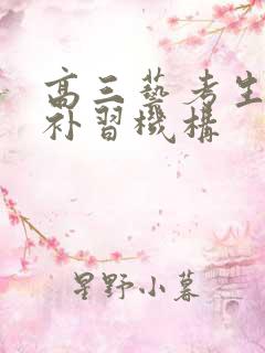 高三艺考生文化补习机构