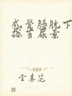 感觉膀胱下坠疼总有尿意