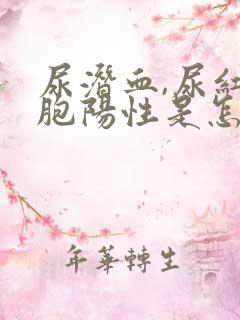 尿潜血,尿红细胞阳性是怎么回事