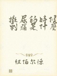 撒尿的时候尿道刺痛是什么原因