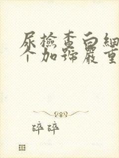 尿检查白细胞2个加号严重吗女性