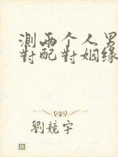 测两个人男女配对配对姻缘