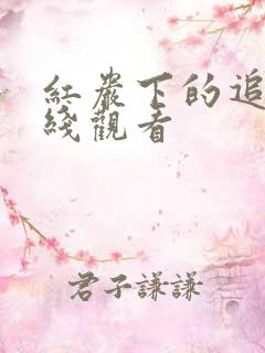 红岩下的追捕在线观看