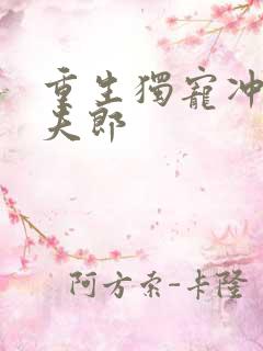 重生独宠冲喜小夫郎