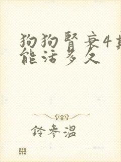 狗狗肾衰4期还能活多久