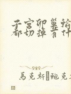 子宫卵巢输卵管都切掉有什么影响