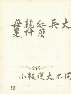 母亲红兵大结局是什么