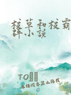 校草和校霸砰砰砰小说