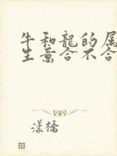 牛和龙的属相做生意合不合财