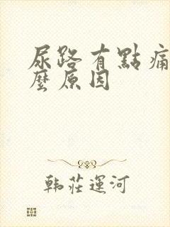 尿路有点痛是什么原因