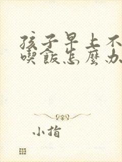 孩子早上不好好吃饭怎么办