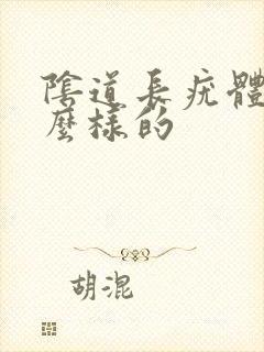 阴道长疣体是什么样的