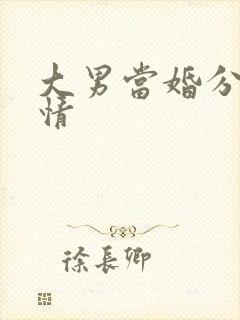 大男当婚分集剧情