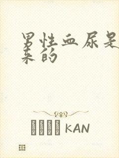 男性血尿是怎么来的