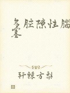 多腔隙性脑内梗塞