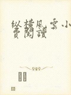 纵横风云小说免费阅读