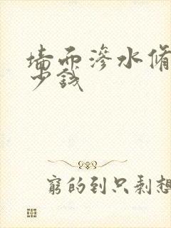 墙面渗水修补多少钱