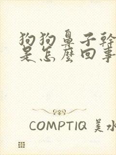 狗狗鼻子干干的是怎么回事