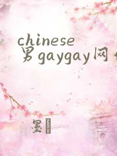 chinese男gaygay网站