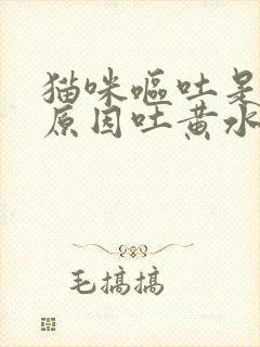 猫咪呕吐是什么原因吐黄水