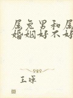 属兔男和属龙女婚姻好不好