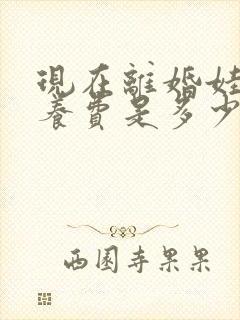 现在离婚娃娃抚养费是多少一个月