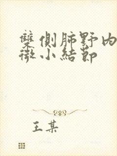 双侧肺野内散在微小结节