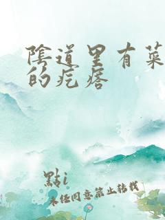 阴道里有菜花状的疙瘩