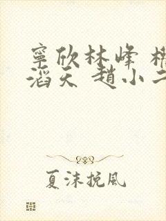 宁欣林峰 权势滔天 赵小二