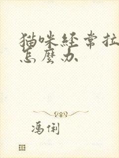 猫咪经常拉软便怎么办