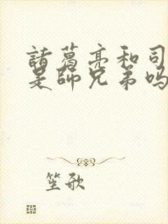 诸葛亮和司马懿是师兄弟吗