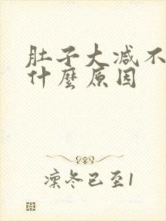 肚子大减不掉是什么原因