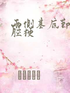 两侧基底节少许腔梗