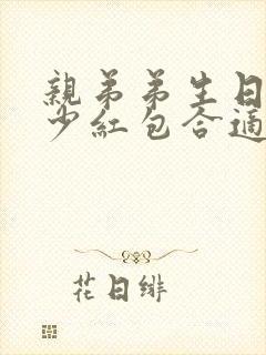 亲弟弟生日发多少红包合适