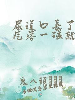 尿道口长了个肉疙瘩一碰就疼