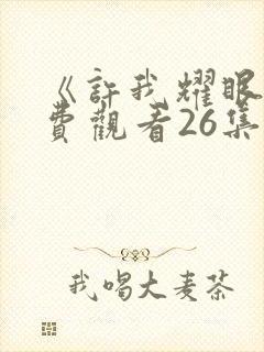 《许我耀眼》免费观看26集电视剧