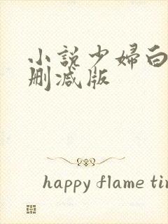 小说少妇白洁无删减版