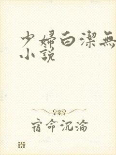 少妇白洁无删减小说