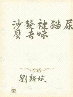 沙发被猫尿了怎么去味