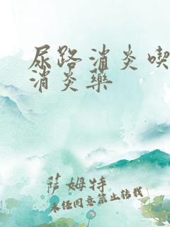 尿路消炎吃什么消炎药